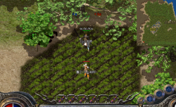 千年树妖爆率极低，刷怪打宝者千万不要选择